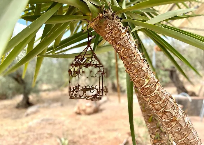 Centro 토레몰리노스